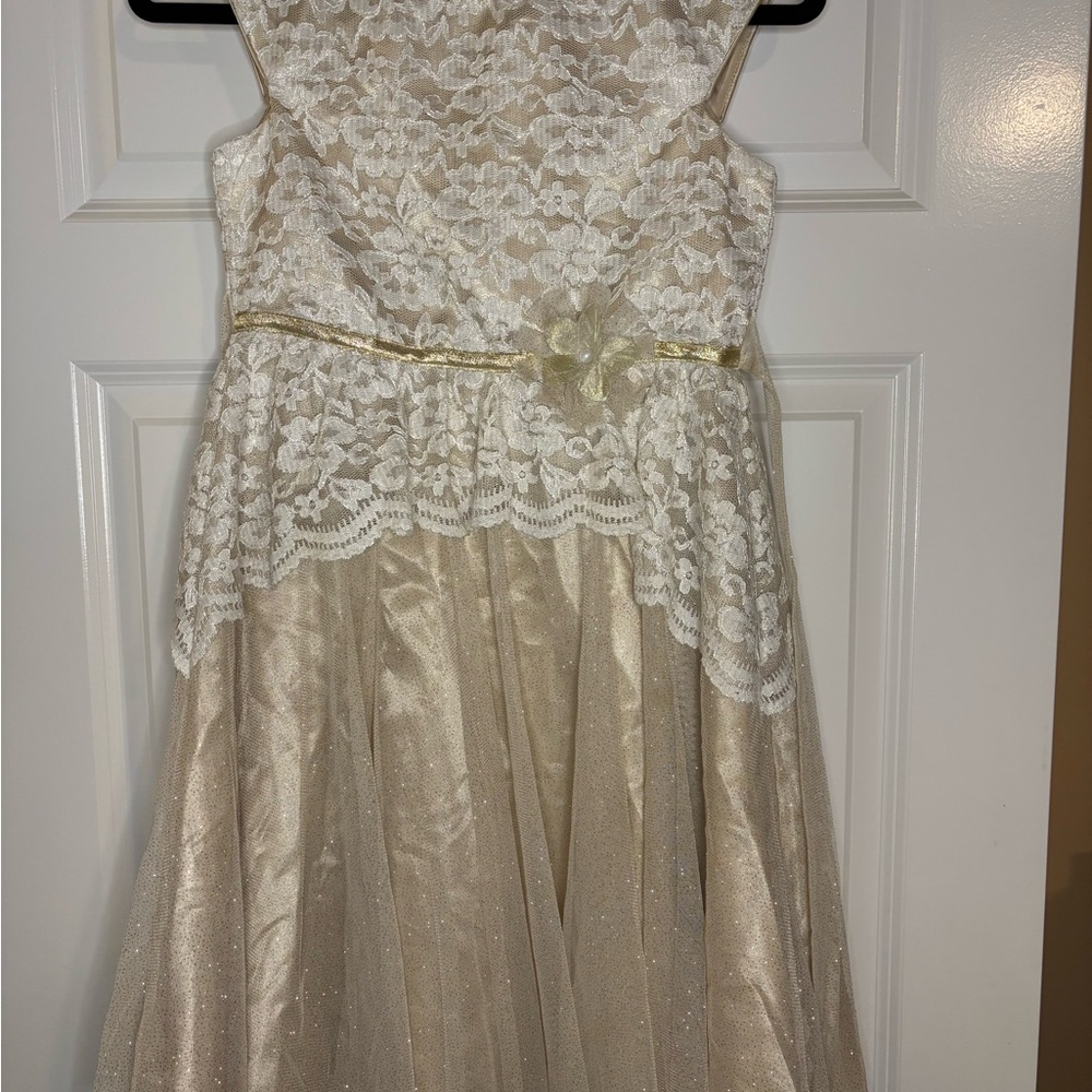 Elegant Lace Dress with Gold Accents